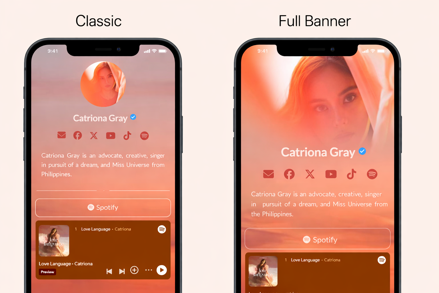 Classic vs Full Banner: Which Linky Profile Layout Is Right for You?